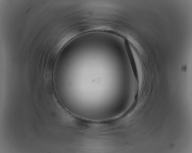 X0000092281281200709281238