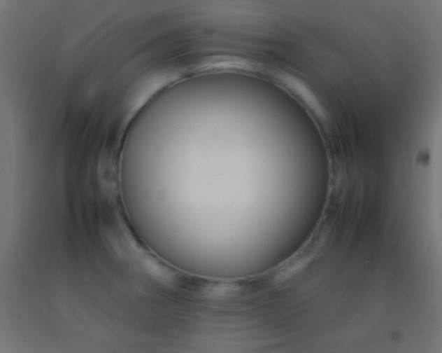 X0000092281282200709281238