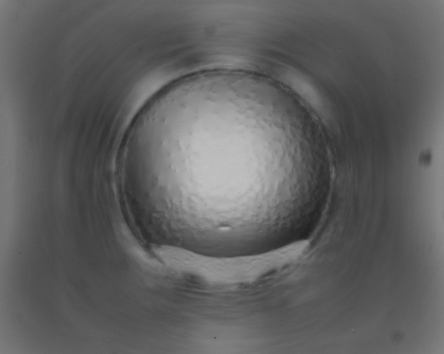 X0000092281283200709281238