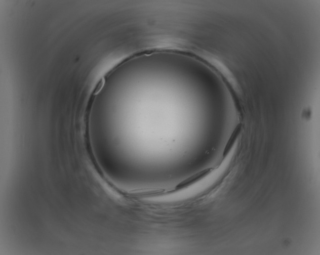 X0000092281285200709281238