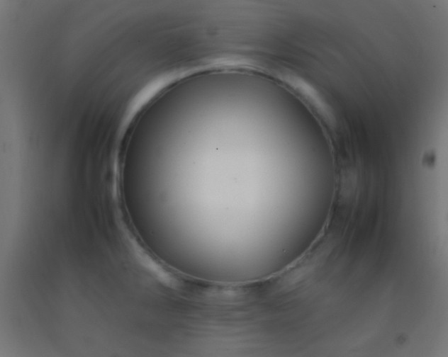 X0000092281286200709281238