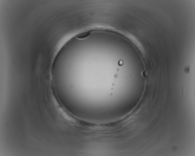 X0000092281287200709281238