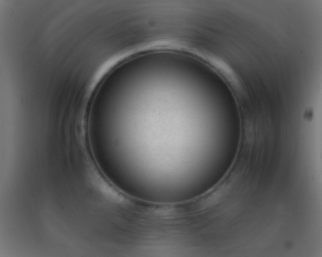 X0000092281288200709281238