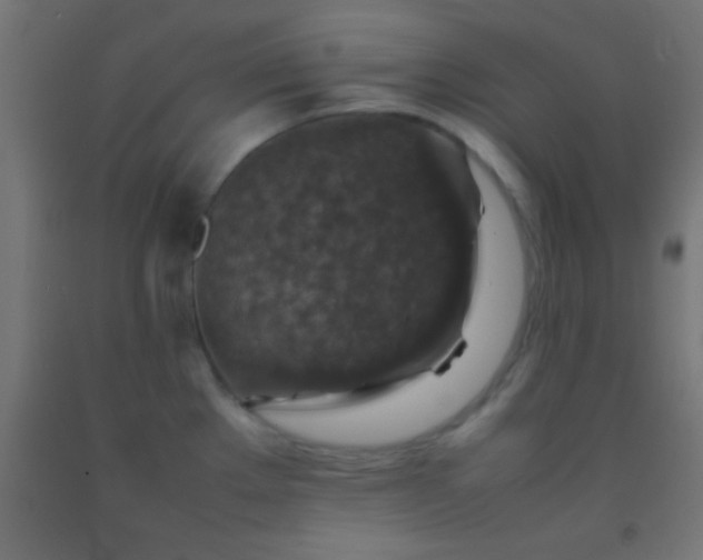 X0000092281289200709281238