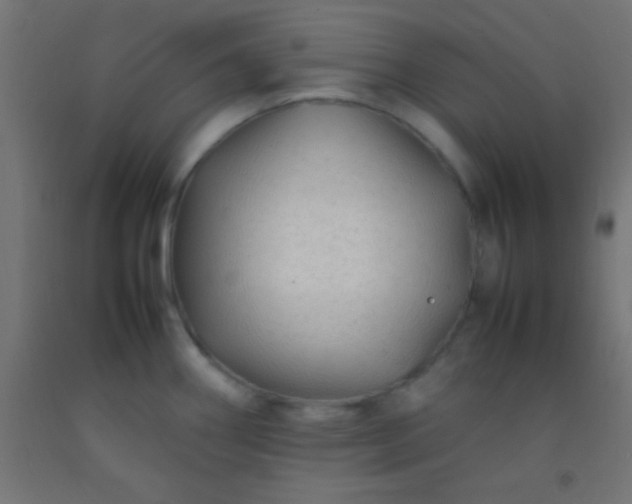 X0000092281290200709281238