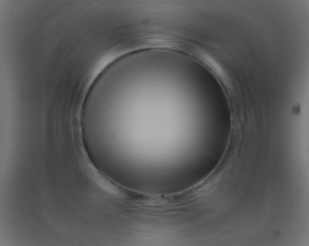 X0000092281291200709281238