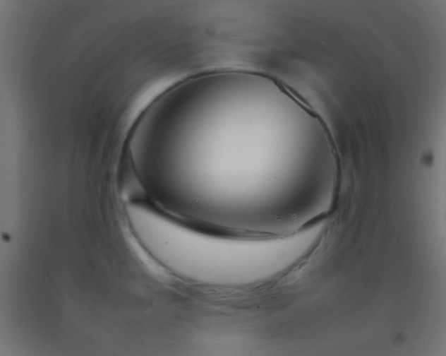 X0000092281293200709281238