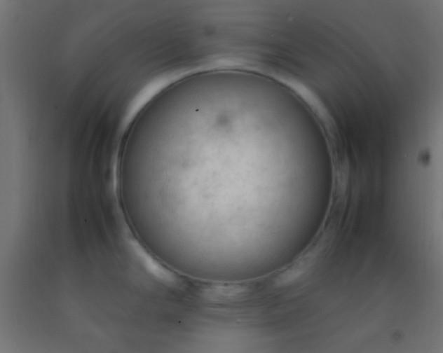 X0000092281294200709281238