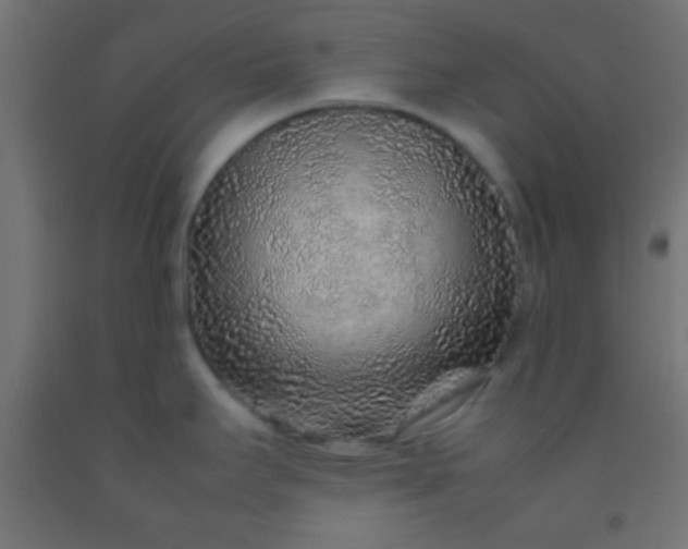 X0000092281295200709281238