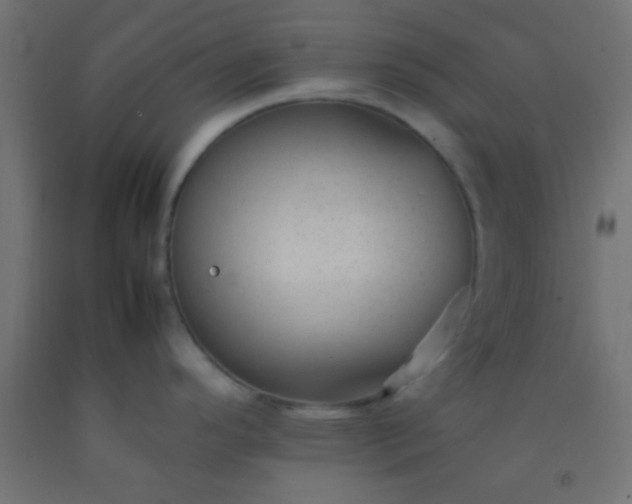 X0000092281296200709281238