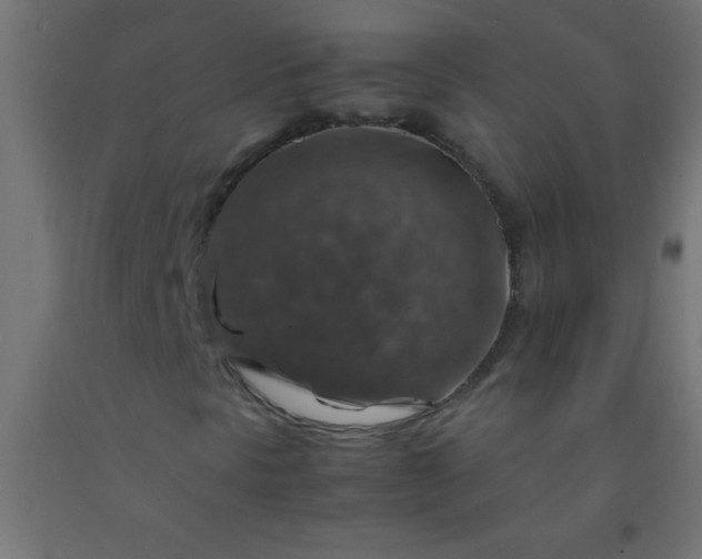 X0000092281297200709281237