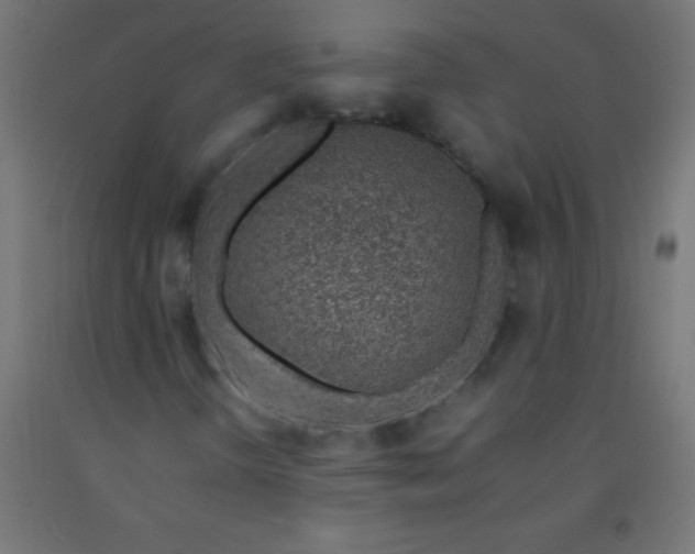 X0000092281298200709281237