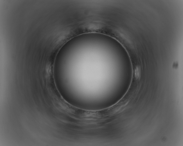 X0000092281299200709281237