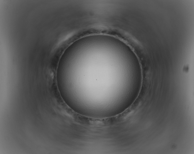 X0000092281302200709281237