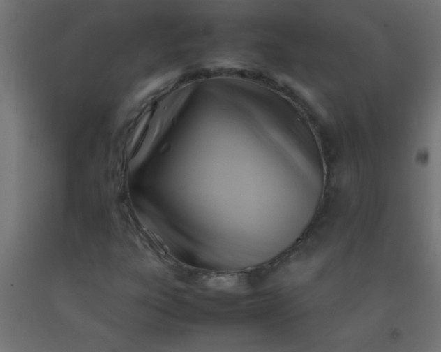 X0000092281303200709281237