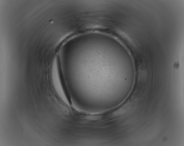 X0000092281305200709281237