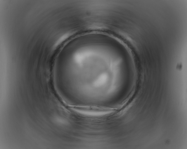 X0000092281306200709281237