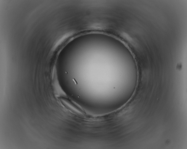 X0000092281307200709281237