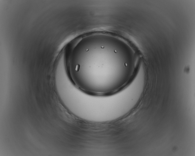 X0000092281308200709281237