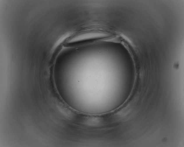 X0000092281309200709281237