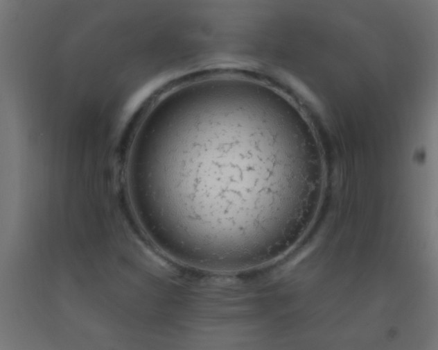 X0000092281310200709281237