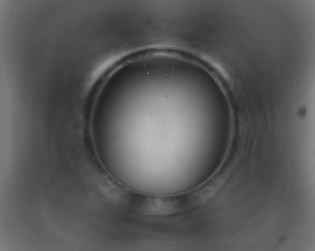 X0000092281311200709281237