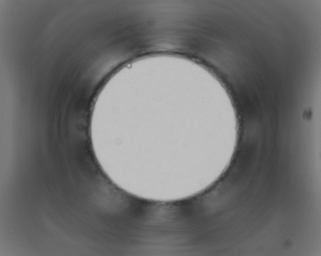 X0000092281314200709281237