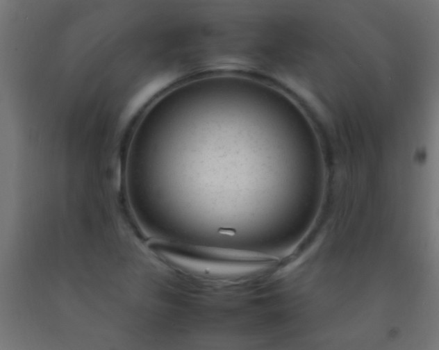 X0000092281317200709281237