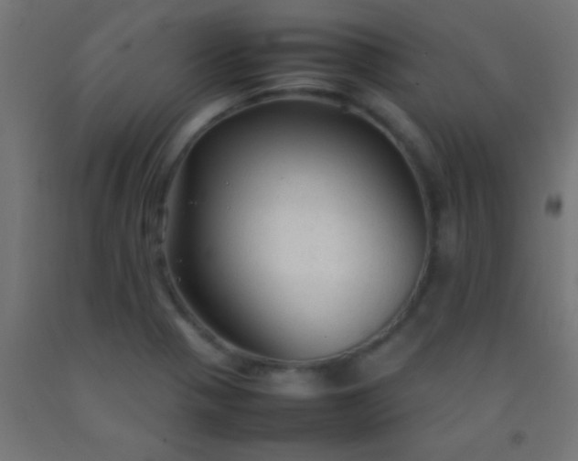 X0000092281321200709281237