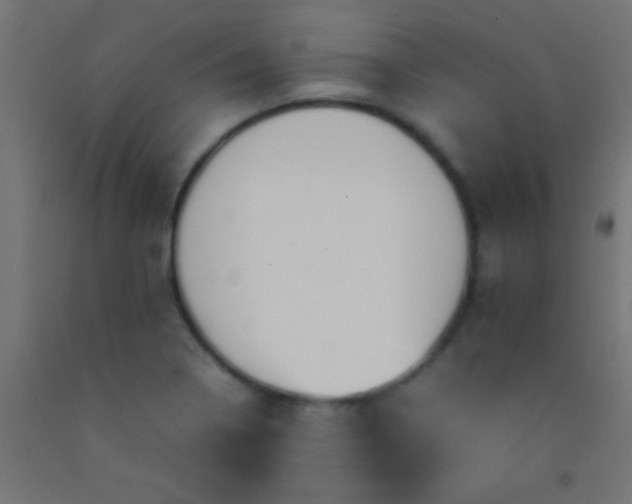 X0000092281322200709281237