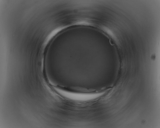 X0000092281323200709281237