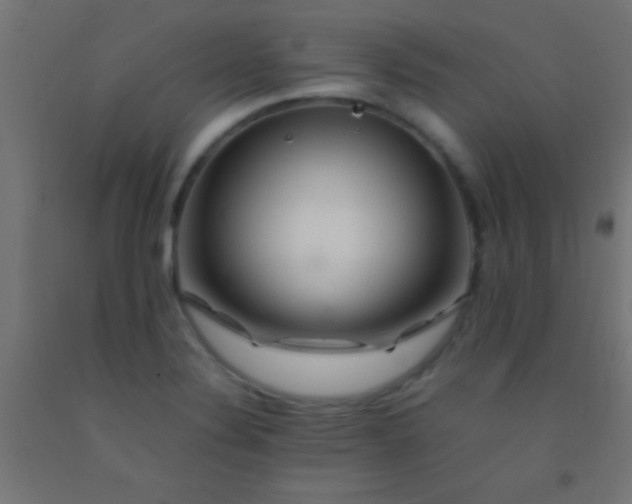 X0000092281324200709281237