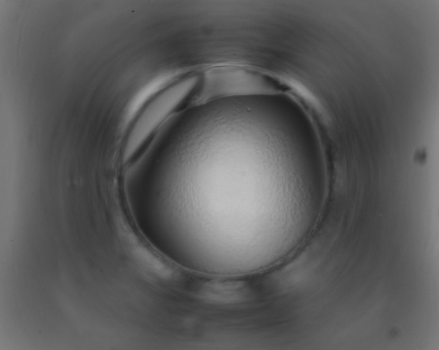 X0000092281325200709281237