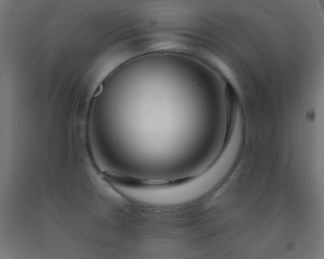 X0000092281330200709281237