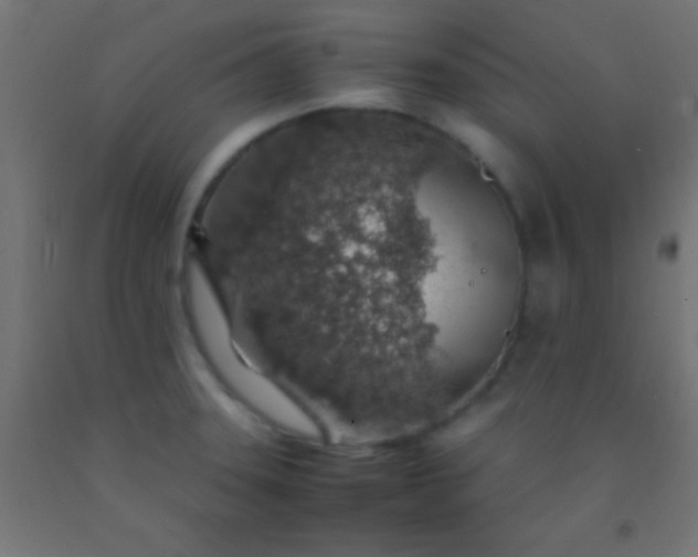 X0000092281331200709281237