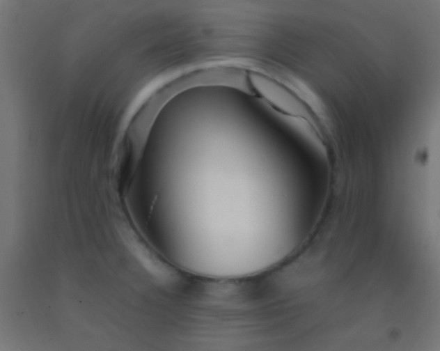 X0000092281332200709281237