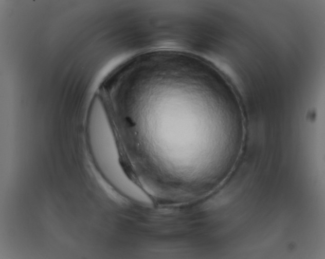 X0000092281333200709281237