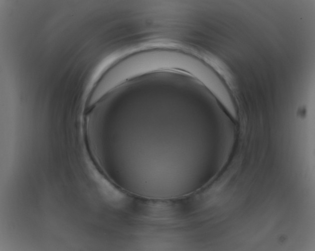 X0000092281334200709281237