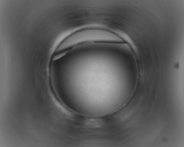 X0000092281335200709281237