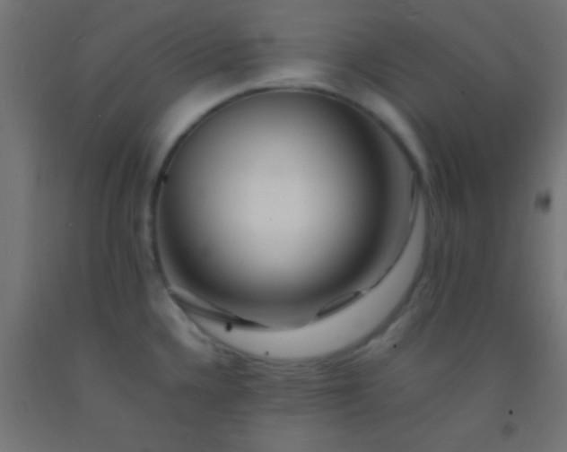 X0000092281336200709281237