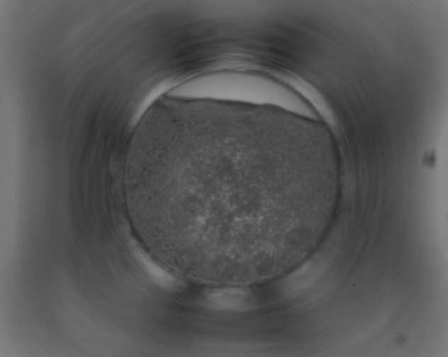 X0000092281337200709281237