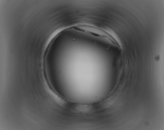 X0000092281339200709281237