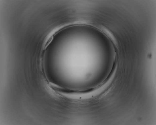 X0000092281340200709281237