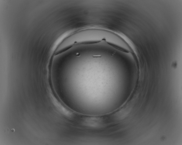 X0000092281341200709281237