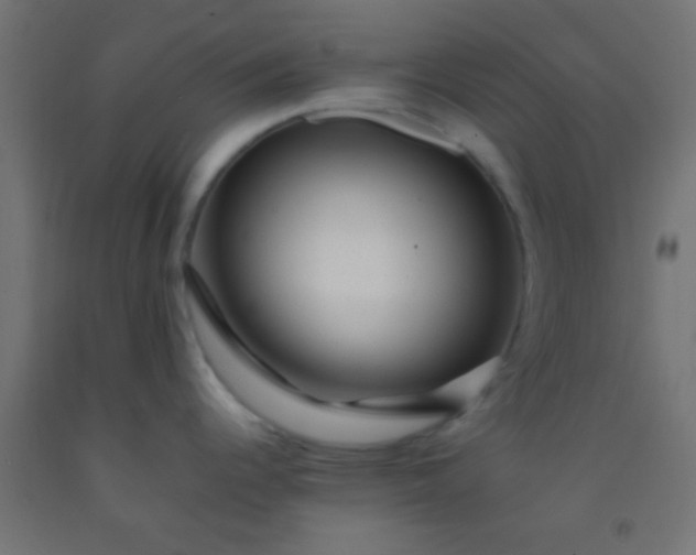 X0000092281344200709281238