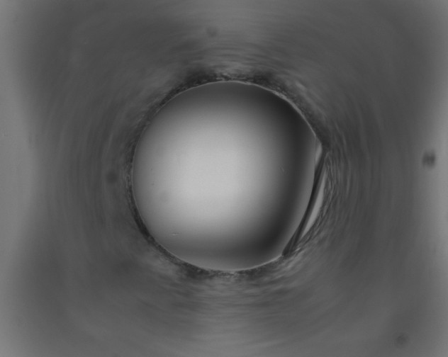 X0000092281345200709281237