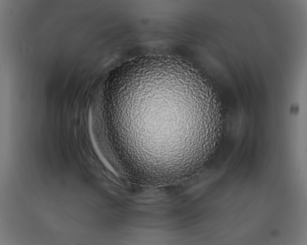 X0000092281346200709281237