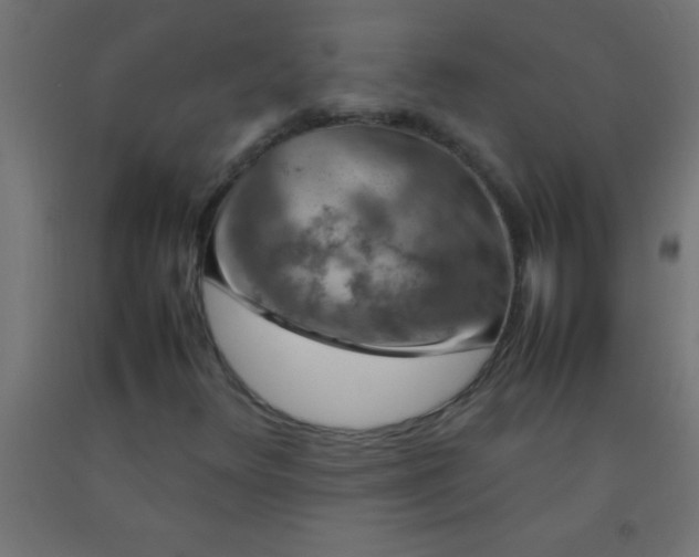 X0000092281348200709281237