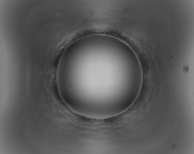 X0000092281349200709281237