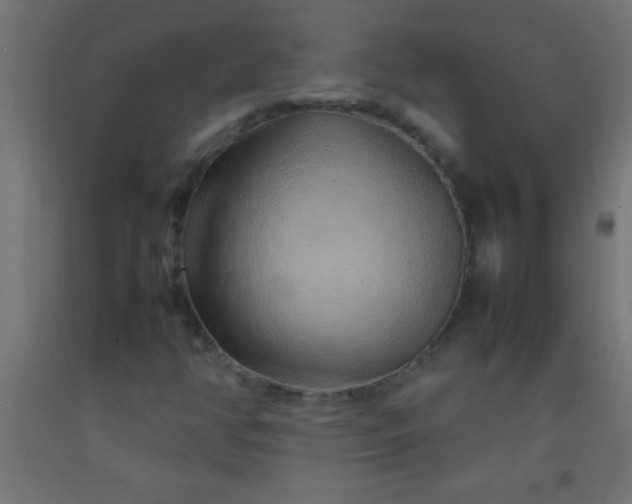 X0000092281350200709281237